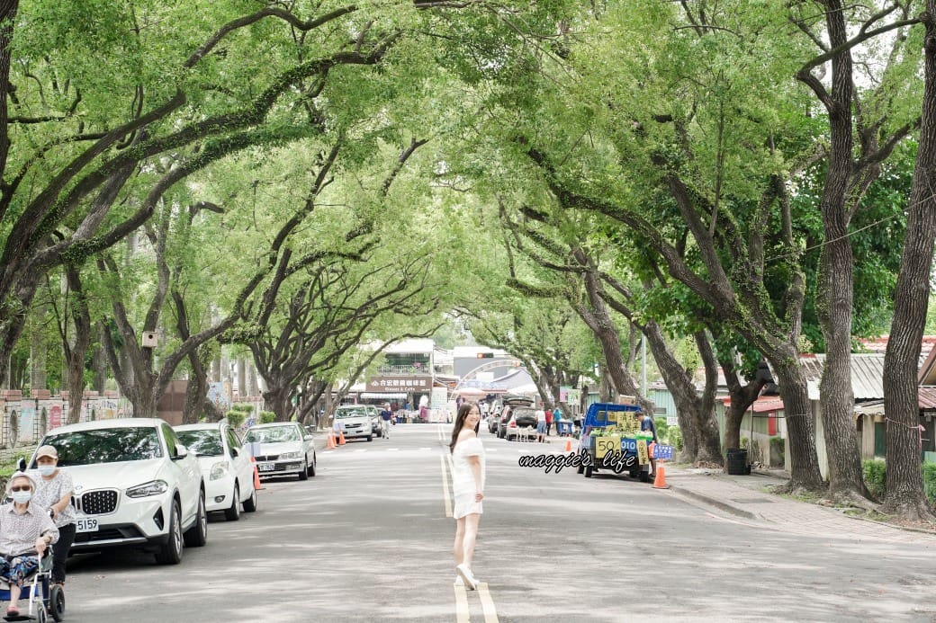 南投中興新村一日遊｜17個拍照景點攻略，綠色隧道，文創，美食，咖啡