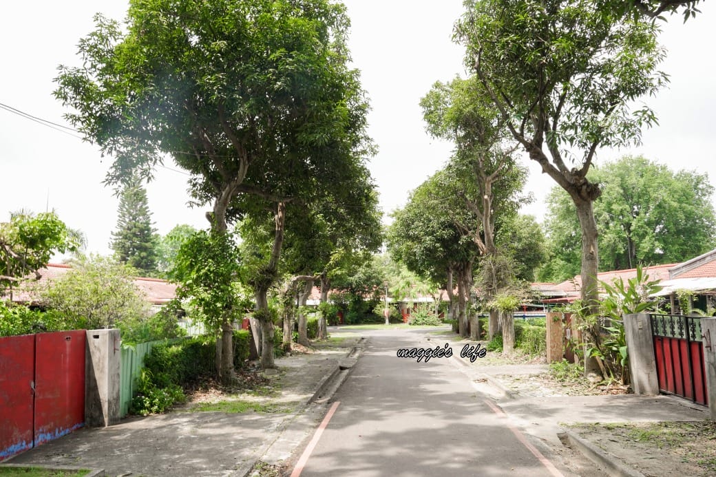 南投中興新村一日遊｜17個拍照景點攻略，綠色隧道，文創，美食，咖啡