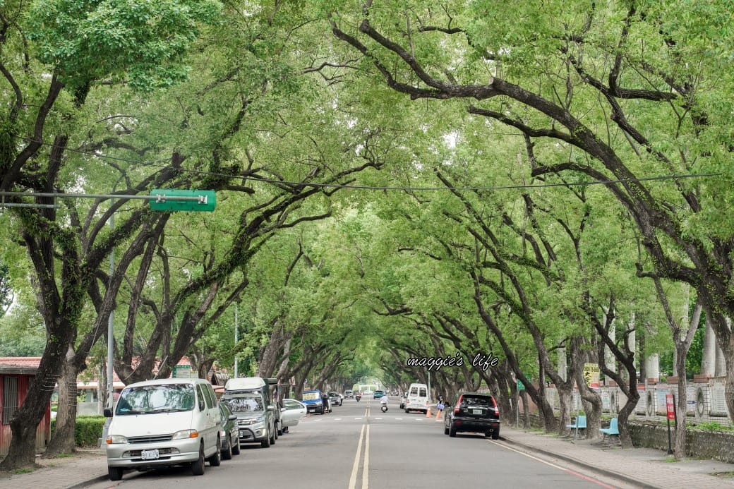 南投中興新村一日遊｜17個拍照景點攻略，綠色隧道，文創，美食，咖啡