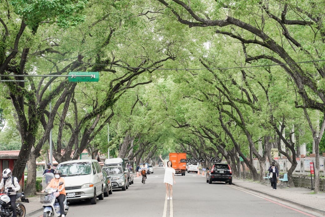 南投中興新村一日遊｜17個拍照景點攻略，綠色隧道，文創，美食，咖啡
