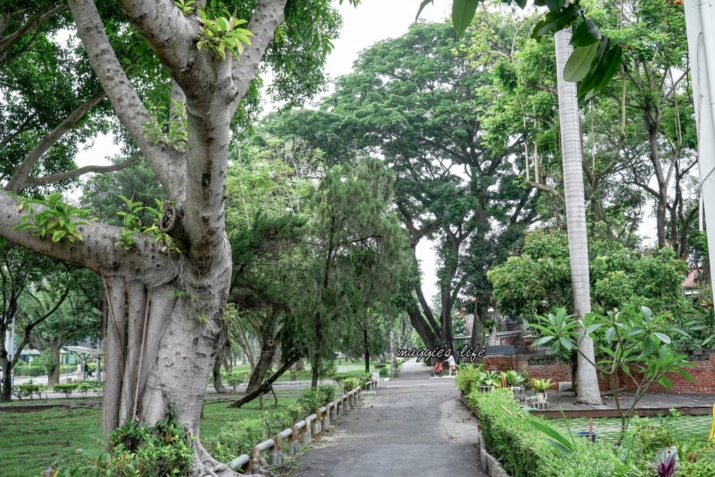 南投中興新村一日遊｜17個拍照景點攻略，綠色隧道，文創，美食，咖啡