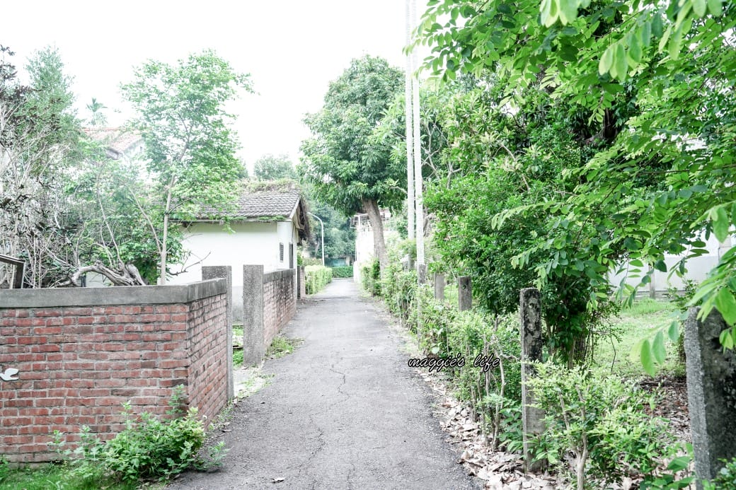 書弄｜中興新村裡的秘密基地，在眷村老宅裡面看書喝咖啡，真的很愜意