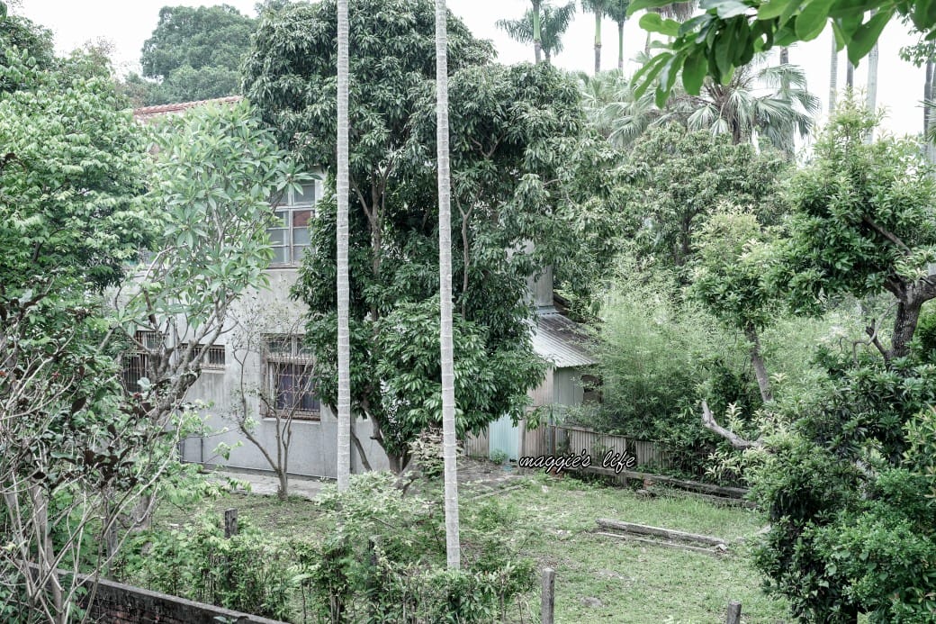 書弄|中興新村裡的秘密基地,在眷村老宅裡面看書喝咖啡,真的很愜意 - 第23張圖 書弄|中興新村裡的秘密基地,在眷村老宅裡面看書喝咖啡,真的很愜意