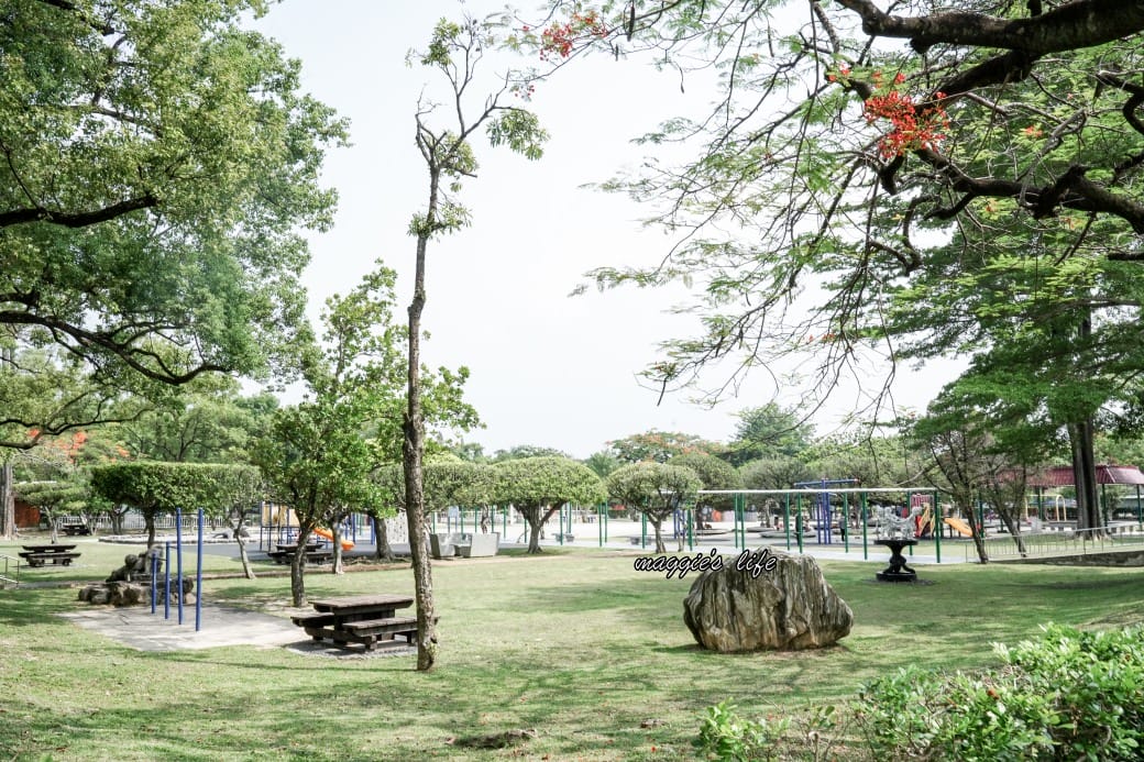 南投中興新村一日遊｜17個拍照景點攻略，綠色隧道，文創，美食，咖啡