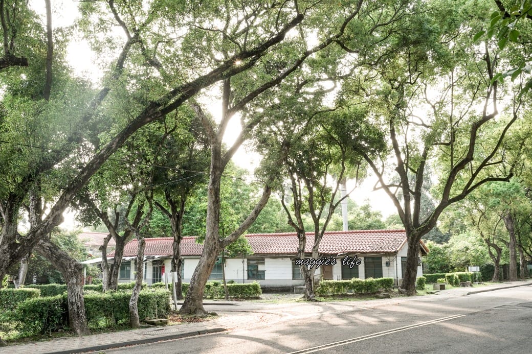 南投中興新村一日遊｜17個拍照景點攻略，綠色隧道，文創，美食，咖啡