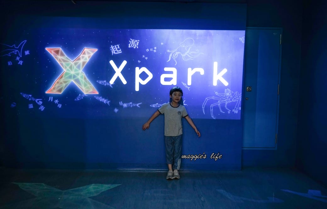 桃園Xpark水族館最新攻略｜必看四大展區、優惠門票、時間、交通停車