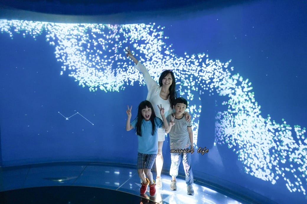 桃園Xpark水族館最新攻略|必看四大展區、優惠門票、時間、交通停車 - 第13張圖 桃園Xpark水族館最新攻略|必看四大展區、優惠門票、時間、交通停車