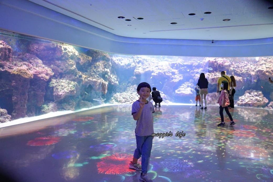 桃園Xpark水族館最新攻略|必看四大展區、優惠門票、時間、交通停車 - 第23張圖 桃園Xpark水族館最新攻略|必看四大展區、優惠門票、時間、交通停車