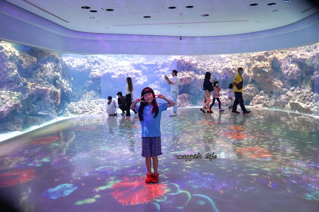 桃園Xpark水族館最新攻略｜必看四大展區、優惠門票、時間、交通停車