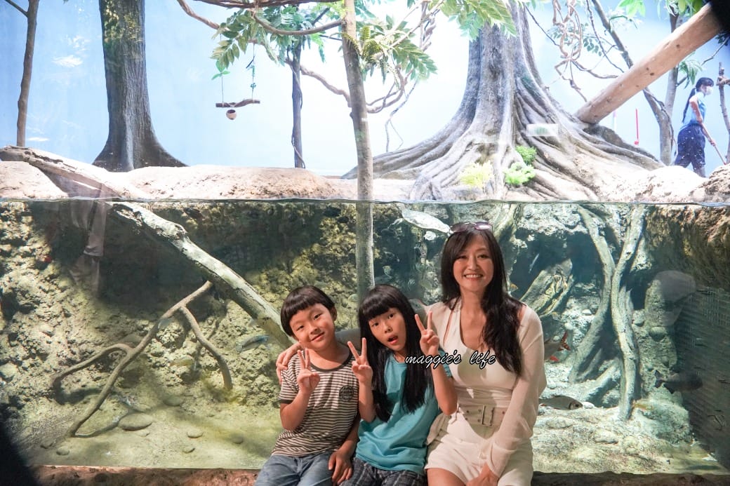 桃園Xpark水族館最新攻略｜必看四大展區、優惠門票、時間、交通停車