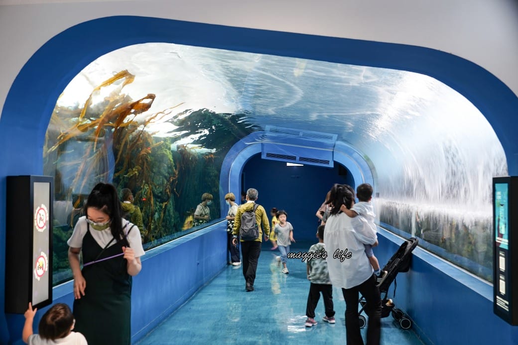 桃園Xpark水族館最新攻略｜必看四大展區、優惠門票、時間、交通停車