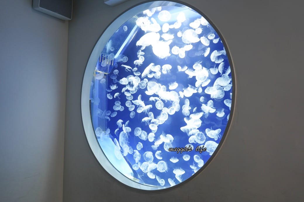 桃園Xpark水族館最新攻略｜必看四大展區、優惠門票、時間、交通停車