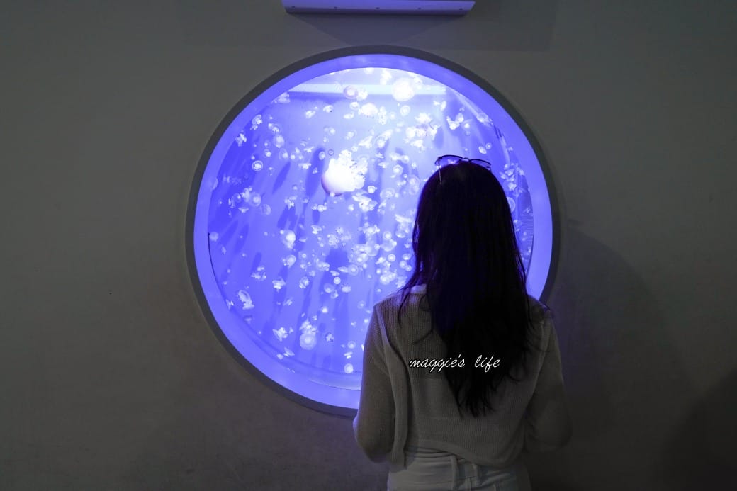 桃園Xpark水族館最新攻略｜必看四大展區、優惠門票、時間、交通停車
