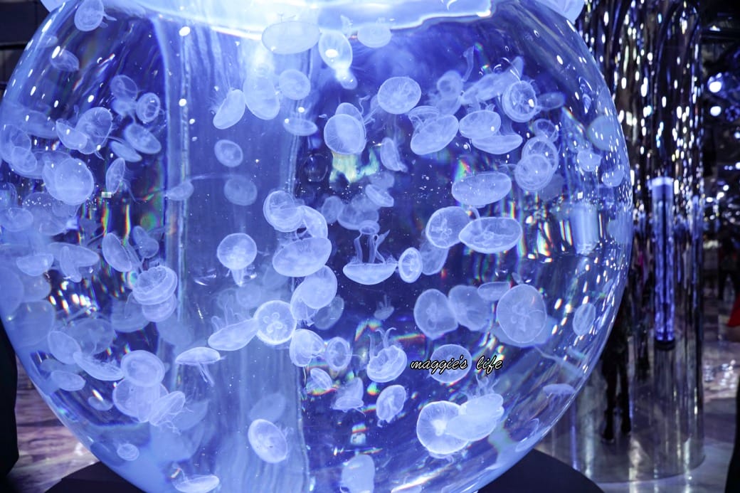 桃園Xpark水族館最新攻略｜必看四大展區、優惠門票、時間、交通停車