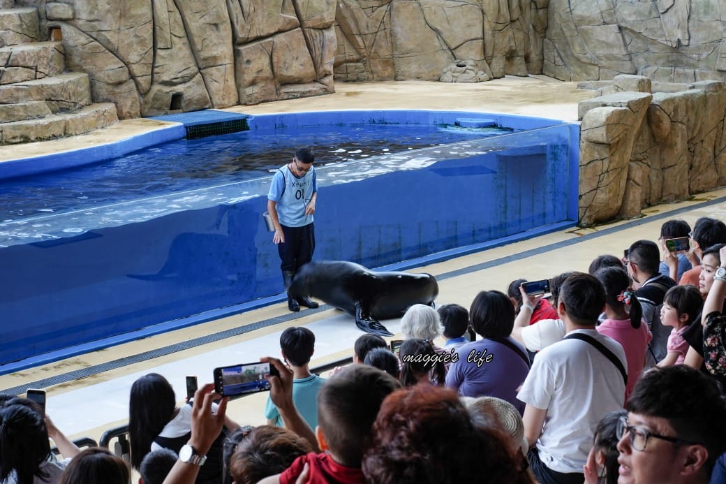 桃園Xpark水族館最新攻略｜必看四大展區、優惠門票、時間、交通停車