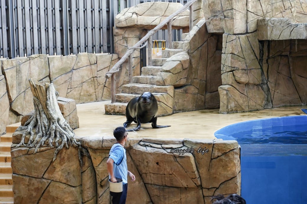 桃園Xpark水族館最新攻略|必看四大展區、優惠門票、時間、交通停車 - 第50張圖 桃園Xpark水族館最新攻略|必看四大展區、優惠門票、時間、交通停車