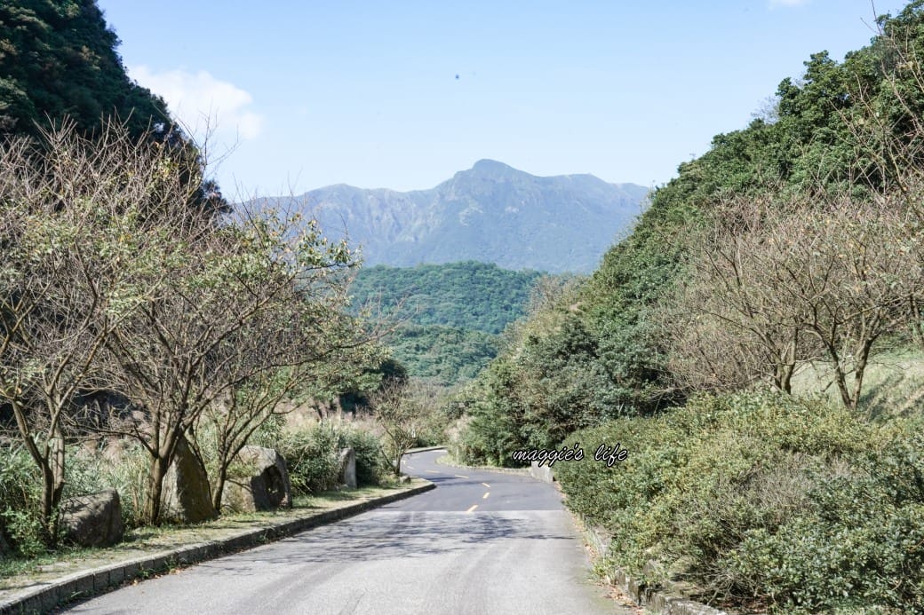 陽明山野溪溫泉秘境｜下七股野溪溫泉，夢幻絕美牛奶湯，交通，注意事項路線攻略