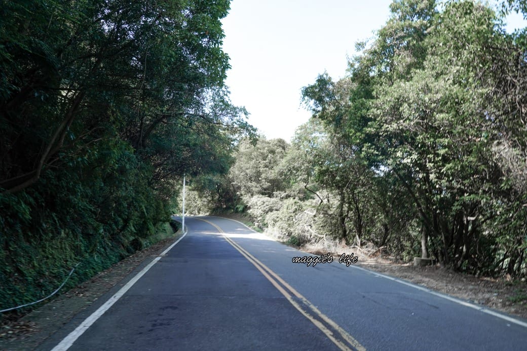 陽明山野溪溫泉秘境｜下七股野溪溫泉，夢幻絕美牛奶湯，交通，注意事項路線攻略