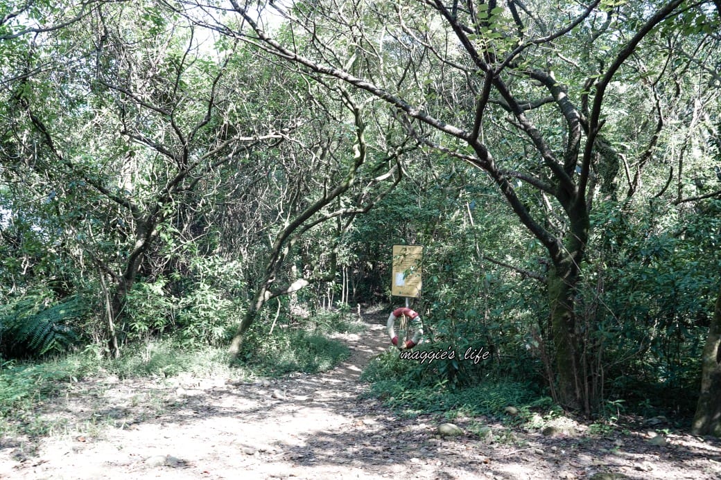 陽明山野溪溫泉秘境｜下七股野溪溫泉，夢幻絕美牛奶湯，交通，注意事項路線攻略