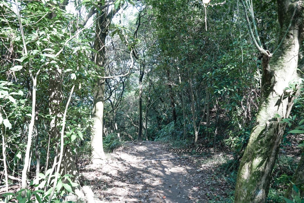 陽明山野溪溫泉秘境｜下七股野溪溫泉，夢幻絕美牛奶湯，交通，注意事項路線攻略