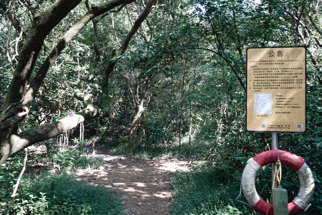 陽明山野溪溫泉秘境｜下七股野溪溫泉，夢幻絕美牛奶湯，交通，注意事項路線攻略