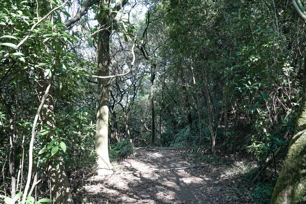 陽明山野溪溫泉秘境｜下七股野溪溫泉，夢幻絕美牛奶湯，交通，注意事項路線攻略