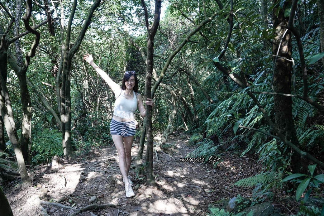 陽明山野溪溫泉秘境｜下七股野溪溫泉，夢幻絕美牛奶湯，交通，注意事項路線攻略