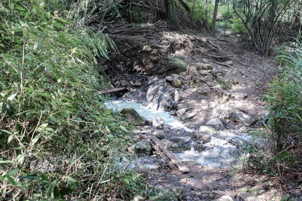陽明山野溪溫泉秘境｜下七股野溪溫泉，夢幻絕美牛奶湯，交通，注意事項路線攻略
