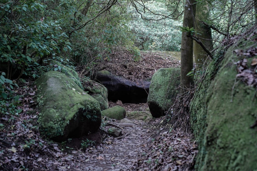 陽明山野溪溫泉秘境｜下七股野溪溫泉，夢幻絕美牛奶湯，交通，注意事項路線攻略