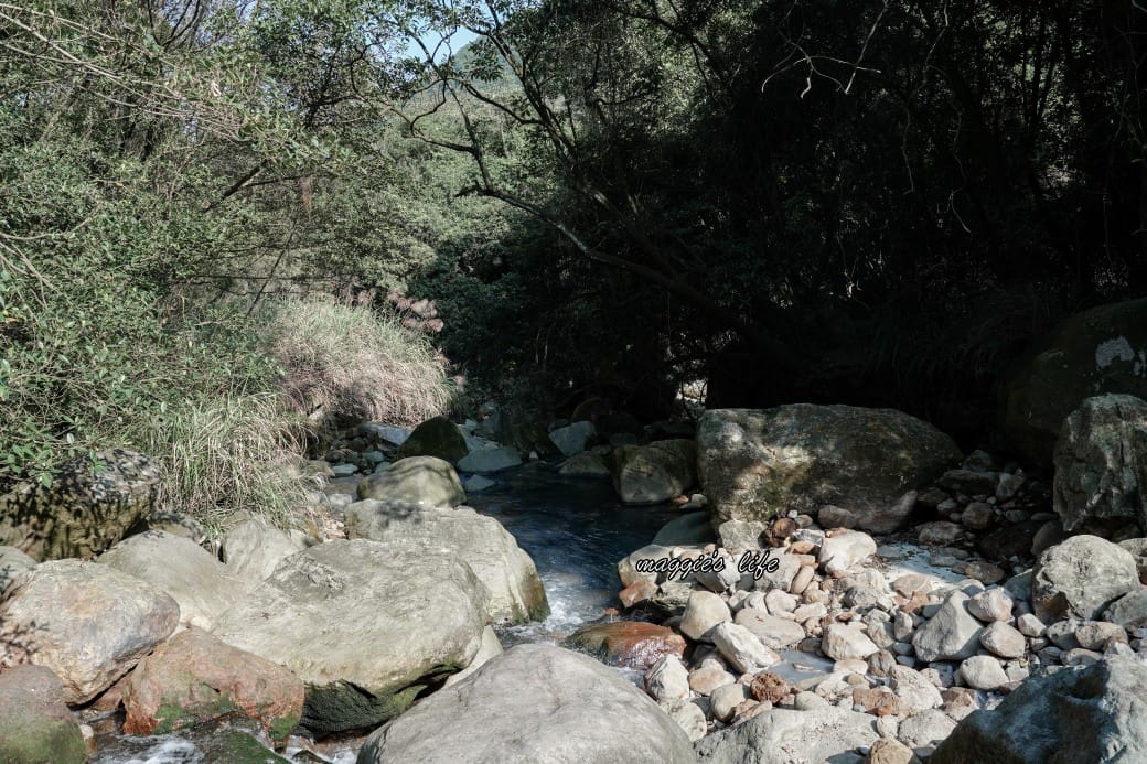 陽明山野溪溫泉秘境｜下七股野溪溫泉，夢幻絕美牛奶湯，交通，注意事項路線攻略