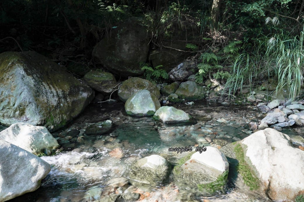 陽明山野溪溫泉秘境｜下七股野溪溫泉，夢幻絕美牛奶湯，交通，注意事項路線攻略