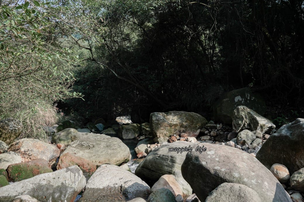 陽明山野溪溫泉秘境｜下七股野溪溫泉，夢幻絕美牛奶湯，交通，注意事項路線攻略