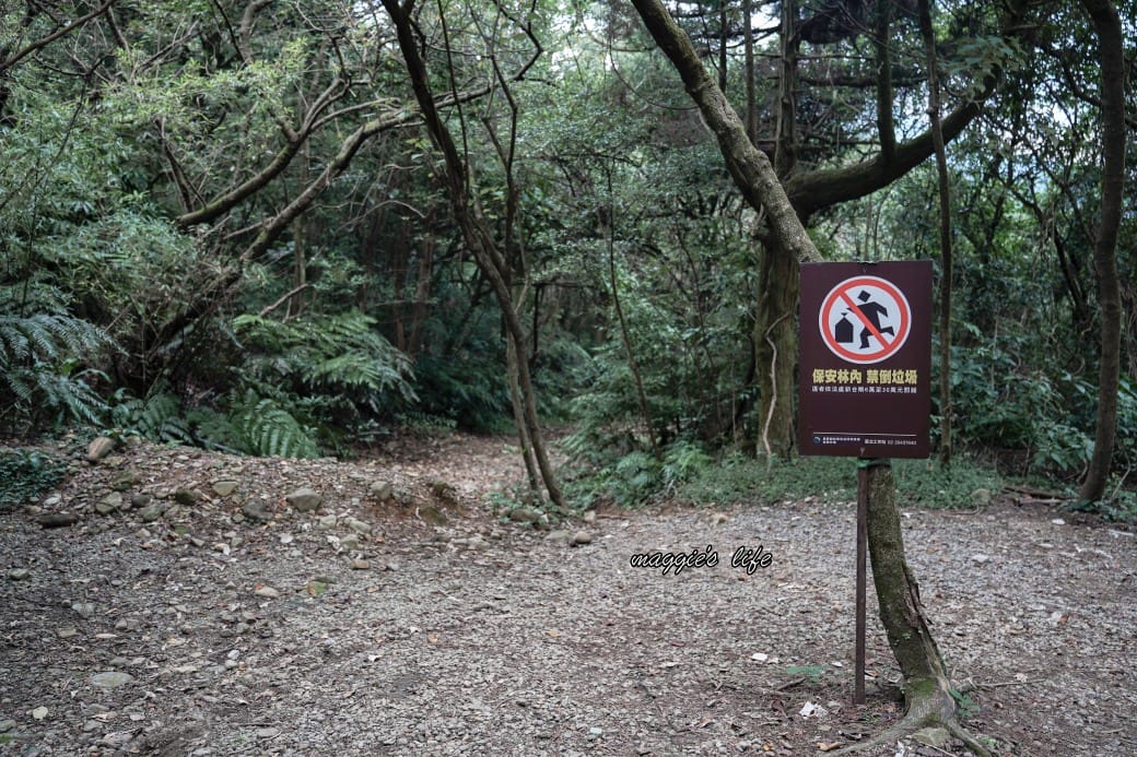 陽明山野溪溫泉秘境｜下七股野溪溫泉，夢幻絕美牛奶湯，交通，注意事項路線攻略