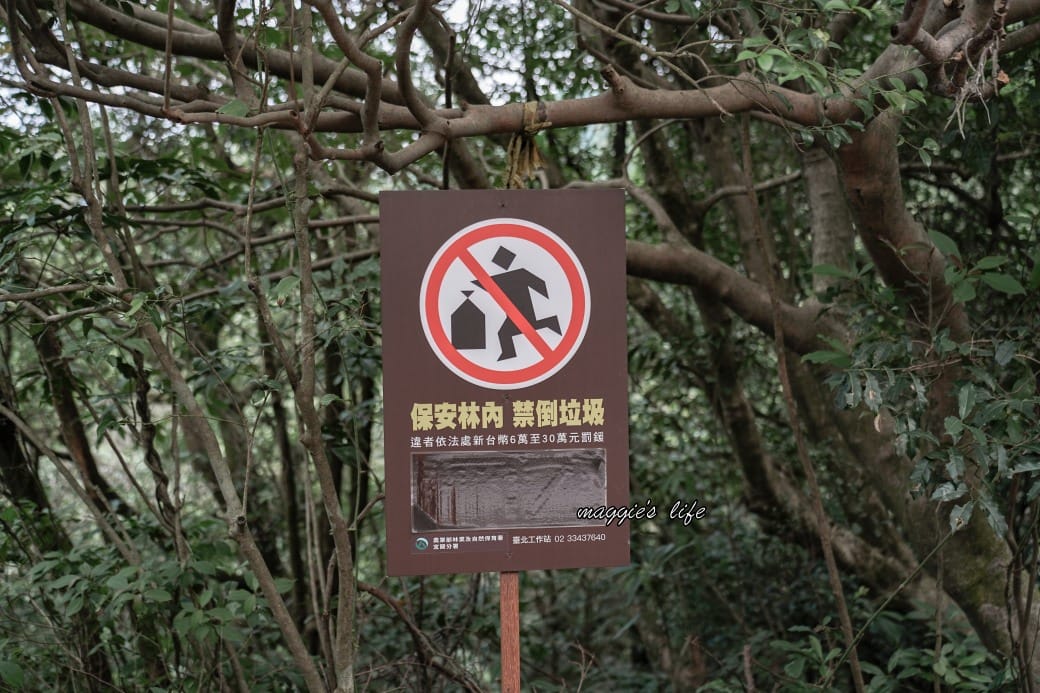 陽明山野溪溫泉秘境｜下七股野溪溫泉，夢幻絕美牛奶湯，交通，注意事項路線攻略