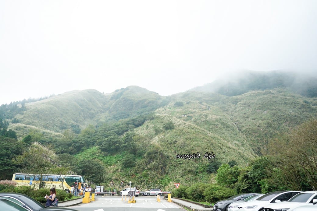 陽明山冷水坑七星山一日遊,芒草季賞芒草美景,秋天必追芒草,階梯步道美景 - 第3張圖 陽明山冷水坑七星山一日遊,芒草季賞芒草美景,秋天必追芒草,階梯步道美景