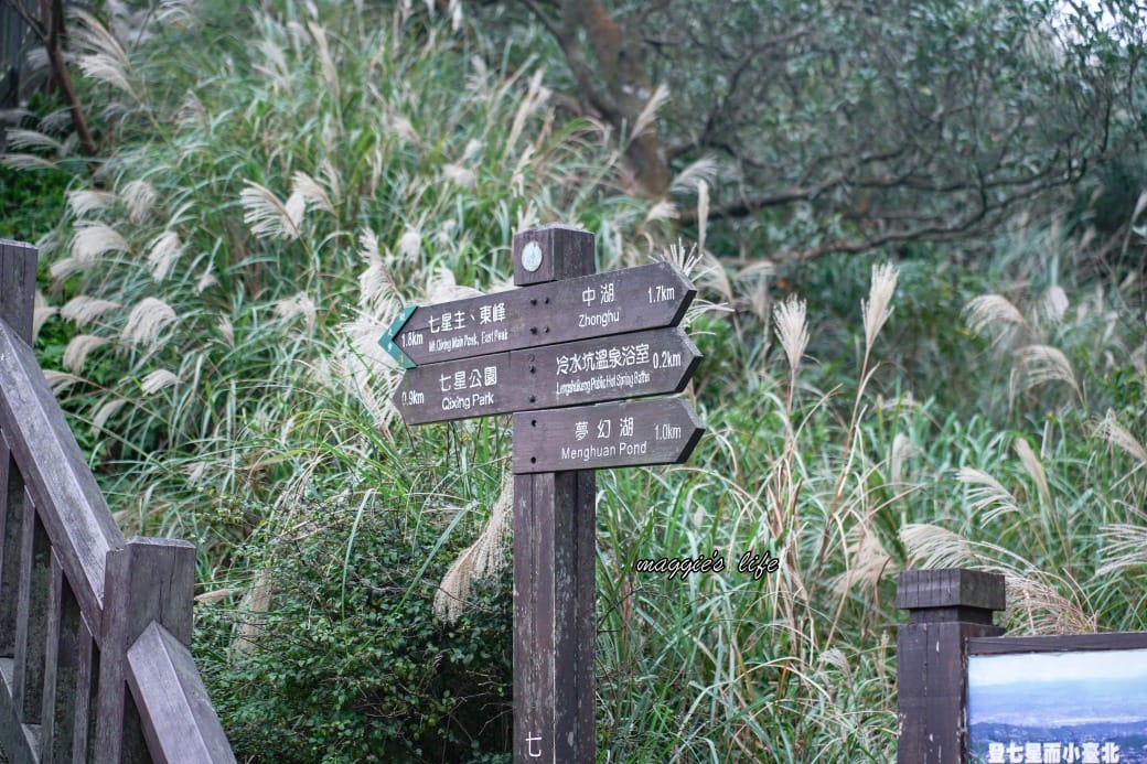 陽明山冷水坑七星山一日遊，芒草季賞芒草美景，秋天必追芒草，階梯步道美景