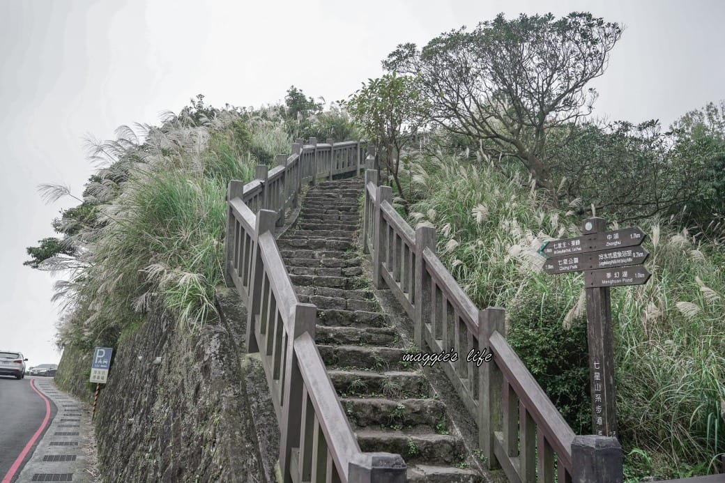 陽明山冷水坑七星山一日遊,芒草季賞芒草美景,秋天必追芒草,階梯步道美景 - 第6張圖 陽明山冷水坑七星山一日遊,芒草季賞芒草美景,秋天必追芒草,階梯步道美景