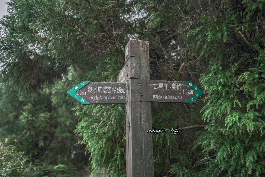 陽明山冷水坑七星山一日遊,芒草季賞芒草美景,秋天必追芒草,階梯步道美景 - 第12張圖 陽明山冷水坑七星山一日遊,芒草季賞芒草美景,秋天必追芒草,階梯步道美景