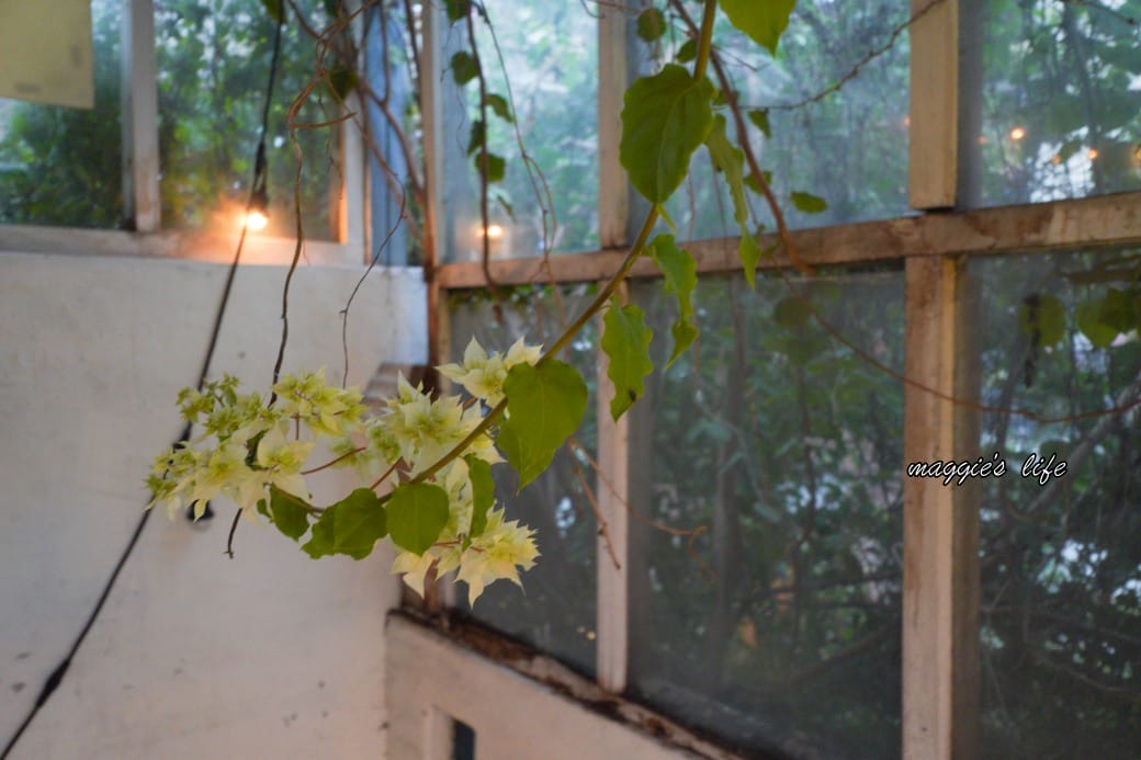 天使熱愛的生活咖啡廳，淡水老街隱藏版咖啡廳，看海景看夕陽聊天的好地方