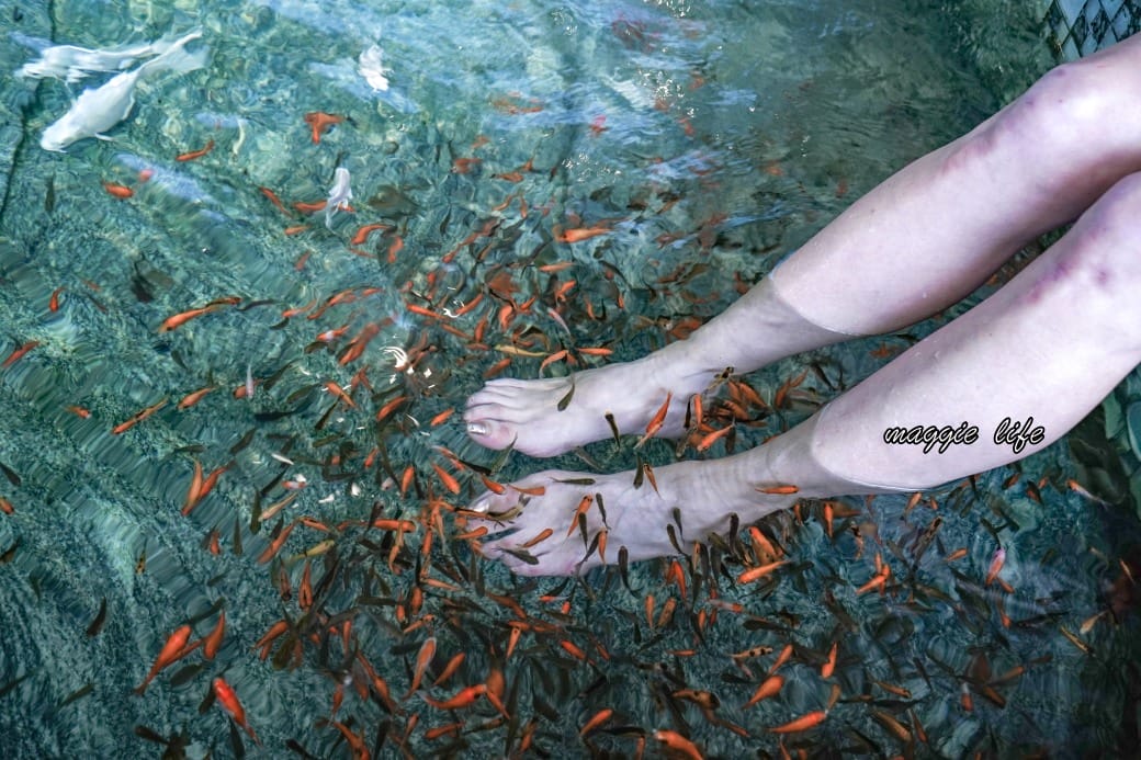 葛瑪蘭之星飯店，宜蘭礁溪溫泉飯店開箱，露天景觀溫泉SPA，個人豪華湯屋，海鮮自助餐吃到飽