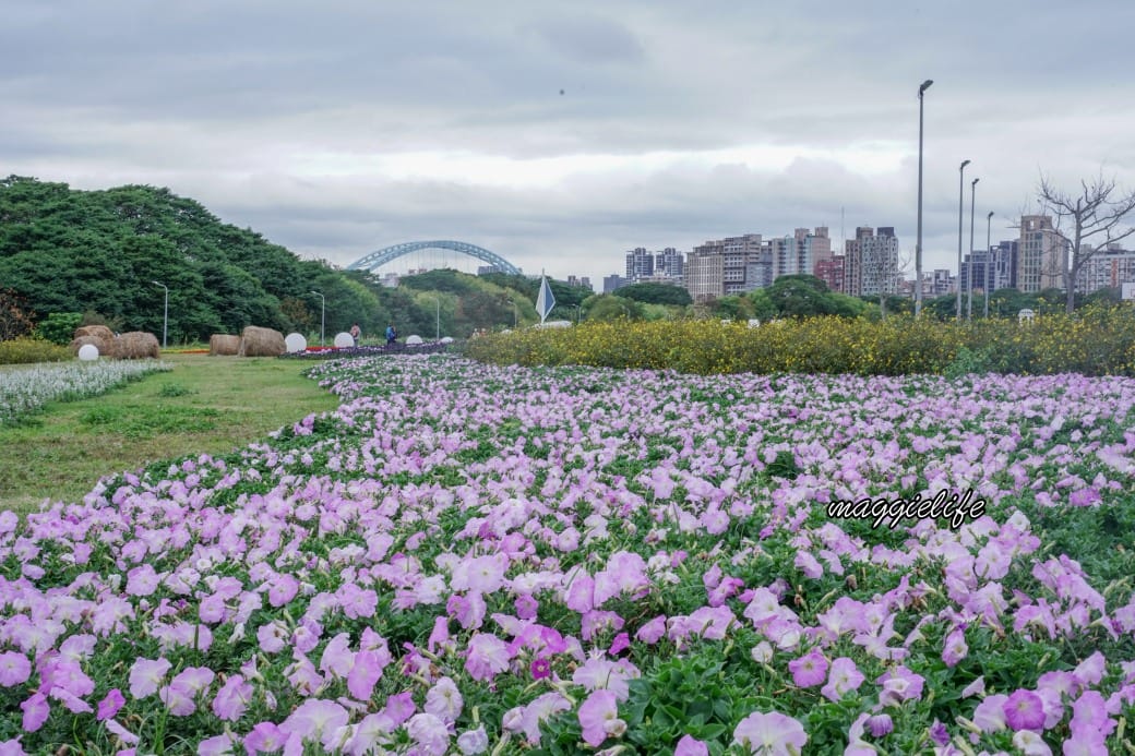 2024古亭河濱公園花海，台北免費賞花景點， 粉紅花海帳篷屋漸層花海超浪漫，一秒到日本，怎麼去交通，花期，拍照方式。