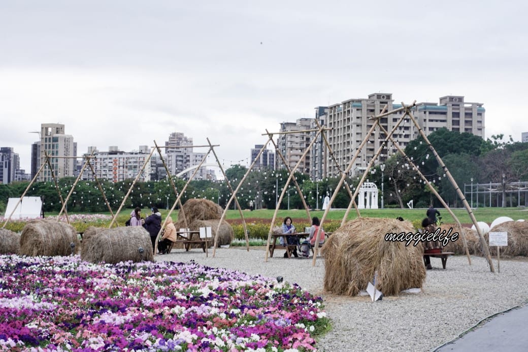 2024古亭河濱公園花海，台北免費賞花景點， 粉紅花海帳篷屋漸層花海超浪漫，一秒到日本，怎麼去交通，花期，拍照方式。