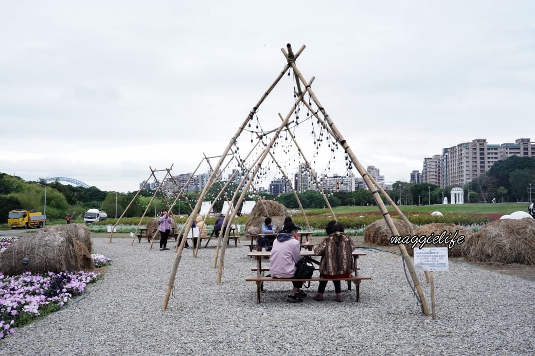 2024古亭河濱公園花海，台北免費賞花景點， 粉紅花海帳篷屋漸層花海超浪漫，一秒到日本，怎麼去交通，花期，拍照方式。