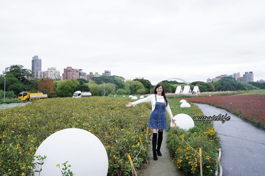 2024古亭河濱公園花海，台北免費賞花景點， 粉紅花海帳篷屋漸層花海超浪漫，一秒到日本，怎麼去交通，花期，拍照方式。