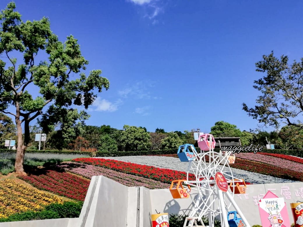北投社三層崎公園｜台版富良野花海，IG網美秘境，免費賞花景點，交通怎麼去