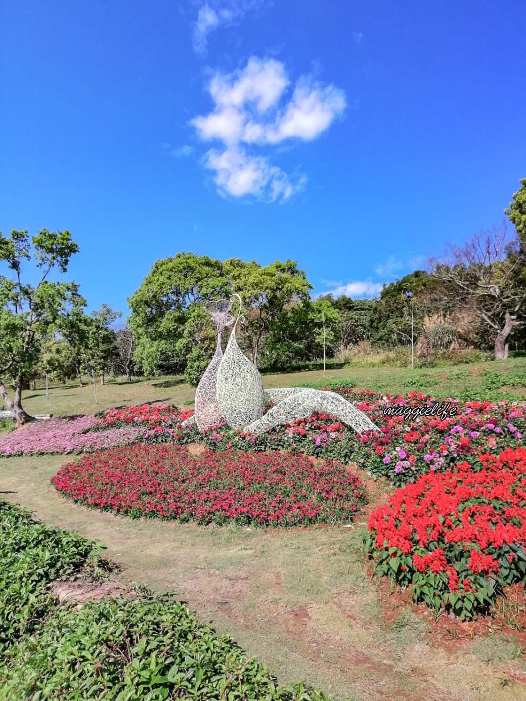 北投社三層崎公園｜台版富良野花海，IG網美秘境，免費賞花景點，交通怎麼去