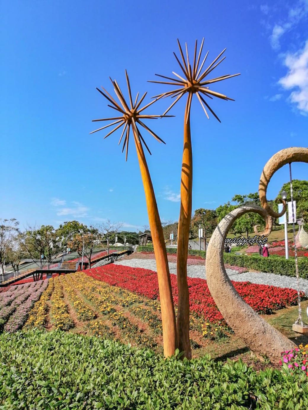 北投社三層崎公園｜台版富良野花海，IG網美秘境，免費賞花景點，交通怎麼去