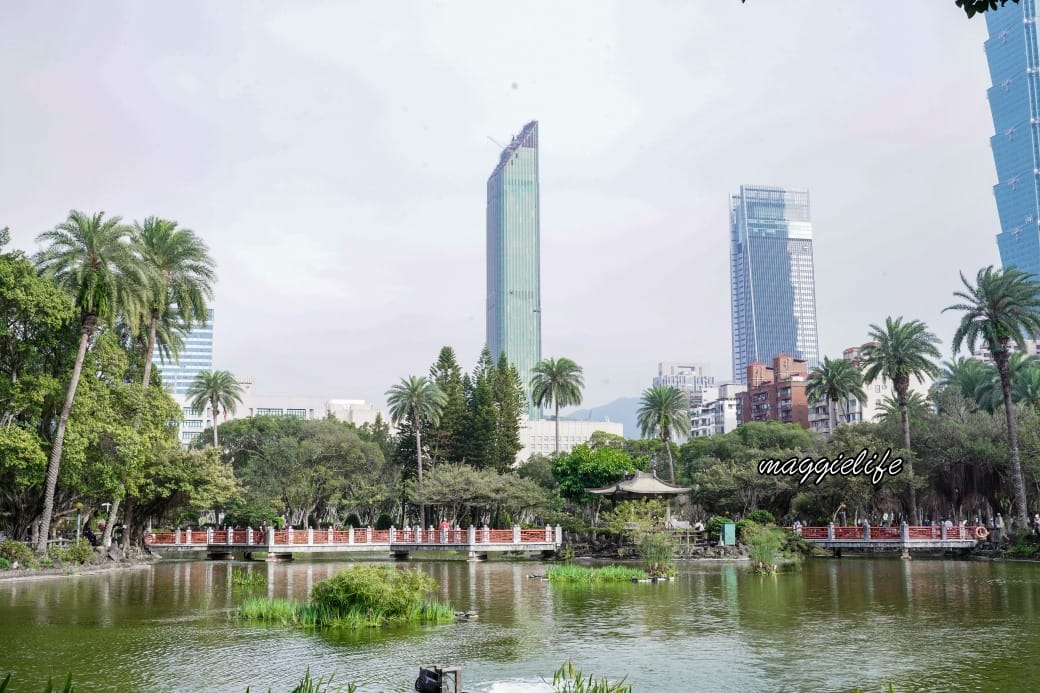 台北市賞櫻新景點，市中心台北國父紀念館也可以賞櫻，搭捷運就可以賞櫻花，還有一排櫻花步道
