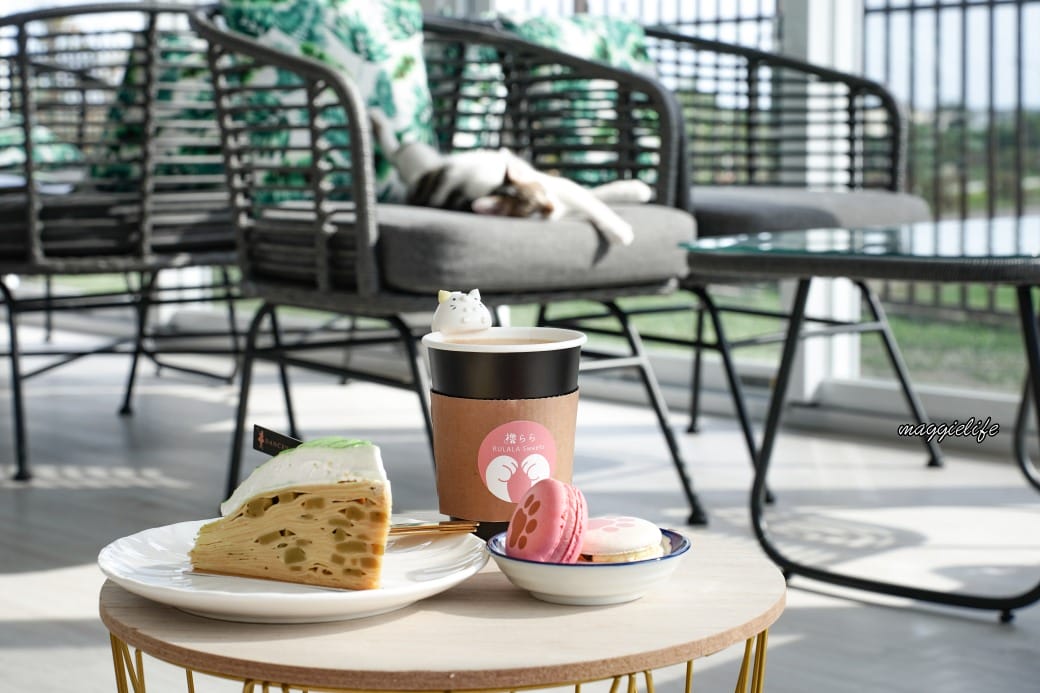 擼らら Sweets ｜宜蘭最新貓咪咖啡廳，宜蘭綠舞飯店新開幕貓奴必訪療癒系咖啡廳，貓店長迎接超療癒