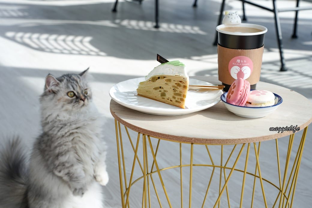 擼らら Sweets ｜宜蘭最新貓咪咖啡廳，宜蘭綠舞飯店新開幕貓奴必訪療癒系咖啡廳，貓店長迎接超療癒
